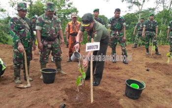 Antisipasi Bencana Longsor, Dandim 0612 Tasikmalaya Tanam Ratusan Pohon