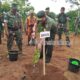 Antisipasi Bencana Longsor, Dandim 0612 Tasikmalaya Tanam Ratusan Pohon