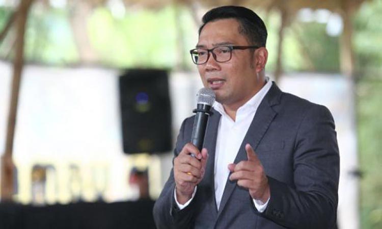 Emil: Untuk Cawagub Saya Akan Pilih Sendiri