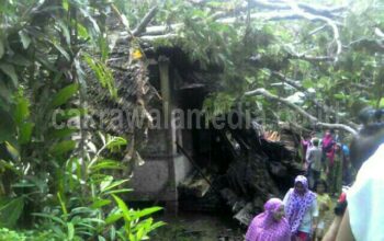 Diterjang Angin Kencang, Pohon Besar Tumbang dan Menimpa Rumah Warga