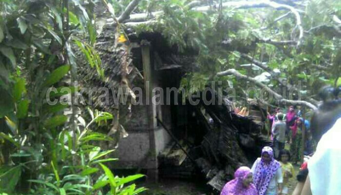 Diterjang Angin Kencang, Pohon Besar Tumbang dan Menimpa Rumah Warga