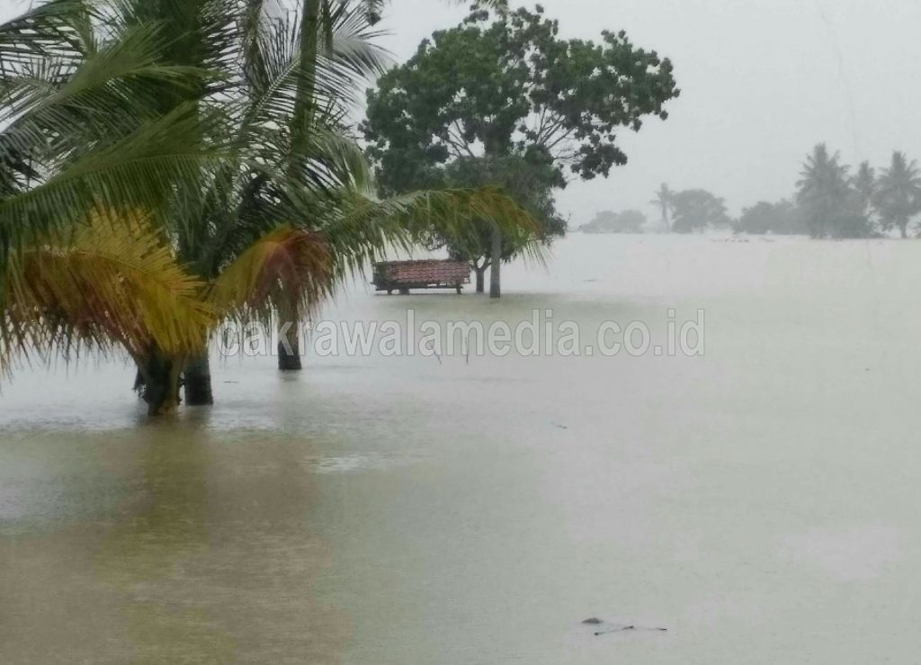 Ratusan Hektare Sawah di Ciganjeung Pangandaran Kembali Terendam