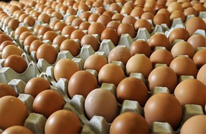 Omzet Turun 25 Persen, Pedagang Telur Ayam Mengeluh