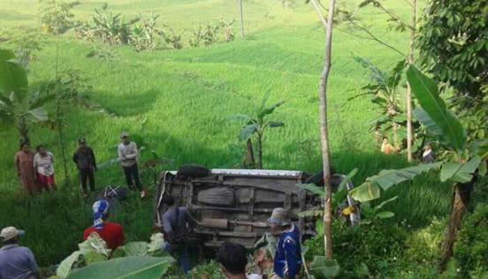 Diduga Rem Blong, Mobil Minibus Nyungsep di Pesawahan