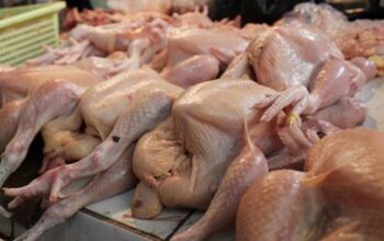 Harga Tinggi, Pedagang Mengeluh Pembeli Daging Ayam Sepi