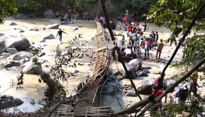 Jembatan Penangkaran Rusa Ambruk, 35 Jadi Korban