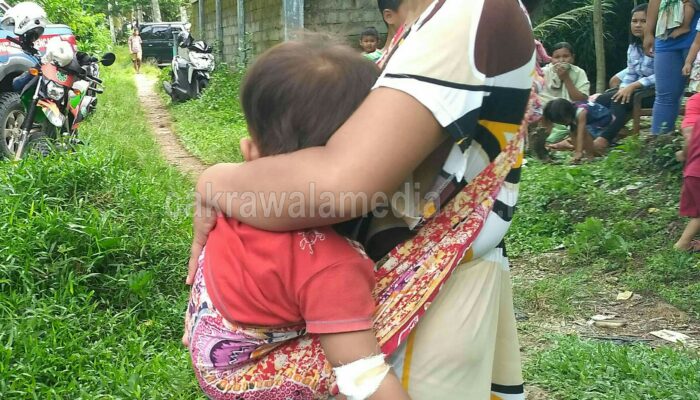 Di Pangandaran Rumah Tertimpa Pohon. Satu Balita Terluka