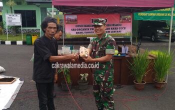 Pemakaian Pupuk Organik, Solusi Jaga Keseimbangan Ekosistem  Alam