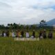 Swasembada Pangan, TNI dan Petani Panen Raya di Cisayong