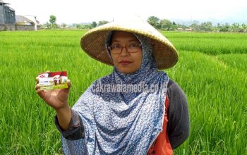 Tanpa Kartu Tani, Pupuk Subsidi Bisa Dibeli