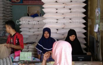 Musim Panen Tiba, Harga Beras Tetap Mahal