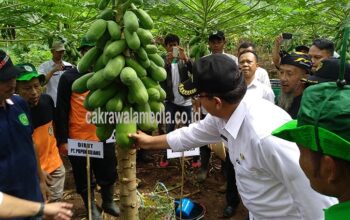 Pupuk Kujang Berkomitmen Tingkatkan Hasil Pertanian