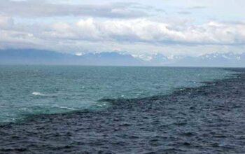 Alquran Menjawab Misteri Pertemuan Dua Laut yang Berbeda Warna itu