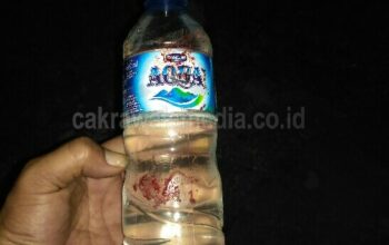 Miras Oplosan Penyebab Pengendara Motor di Pangandaran Hantam Truk Parkir