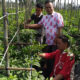 Petani Pemula Asal Purbaratu Raup Untung Berlipat Ganda