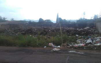 Bau Menyengat Di Gedong Lima Ganggu Masyarakat dan Pengendara yang Lewat