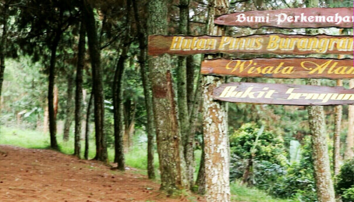 Pesona “Bukit Senyum” Butuh Campur Tangan Pemerintah