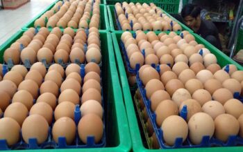 Harga Telur Ayam di Pasar Cikurubuk Terus Meroket