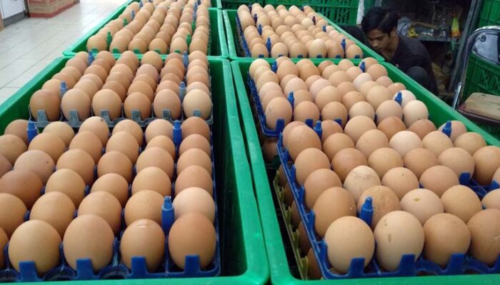 Harga Telur Ayam di Pasar Cikurubuk Terus Meroket