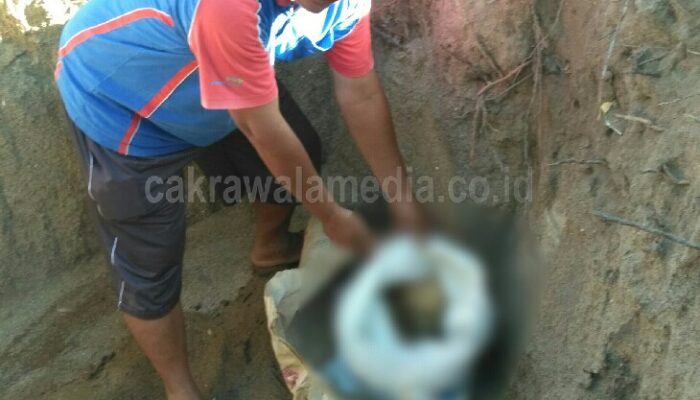 Gali Tanah Untuk Saptic Tank, Warga Pangandaran Temukan Tulang Manusia