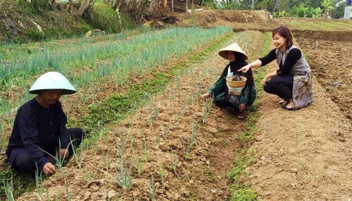 Bhineka Life Lindungi Jiwa Petani