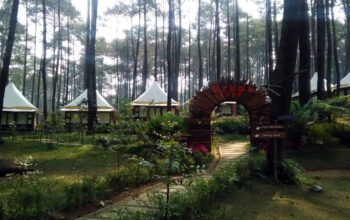 Perhutani KPH Bandung Utara Pastikan Fungsi Ekologi Hutan Terjaga