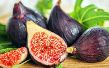Manfaat Buah Ara untuk Kesehatan