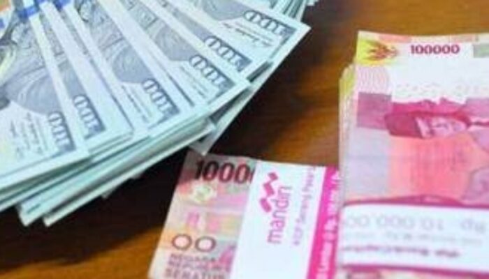 Rupiah Melemah, Darmin : Bakal Picu Inflasi