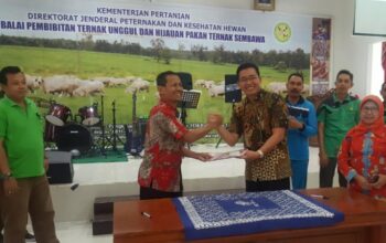 BPTU-HPT Sembawa dan Balitnak Ciawi Sepakat Lakukan Kerjasama