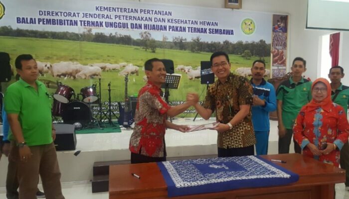 BPTU-HPT Sembawa dan Balitnak Ciawi Sepakat Lakukan Kerjasama