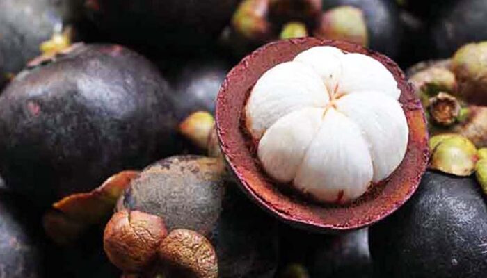 Manfaat Kulit Manggis