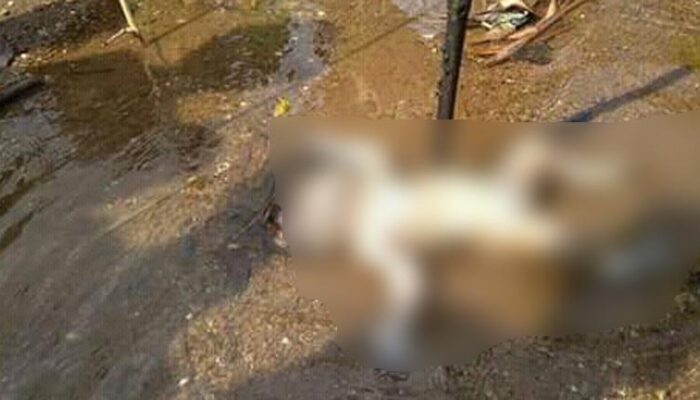 Tega ! Bayi Tak Berdosa Diduga Tewas Dibunuh Di Sebuah Sungai
