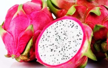 Manfaat Buah Naga