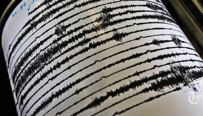 11 Tewas AKibat Gempa 5,9 SR di Haiti