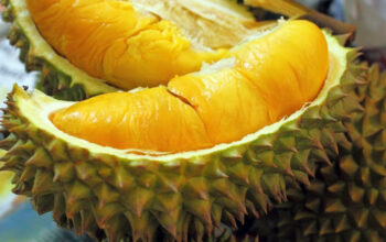 Manfaat Buah Durian untuk Kesehatan