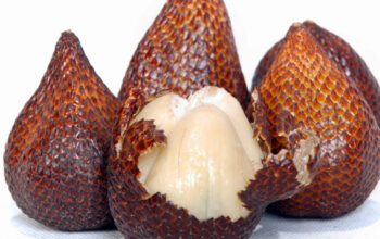 Manfaat dan Kandungan Buah Salak