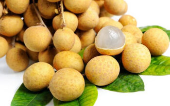 Manfaat Buah Kelengkeng