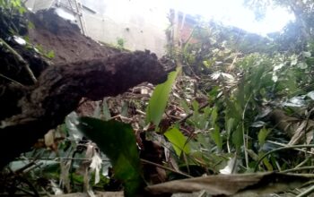 Developer, Bangun Benteng Asal Asalan, 3 Rumah Nyaris Tergerus Longsor