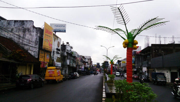 Warga Sebut Pohon “Imitasi” Kurang Manfaat