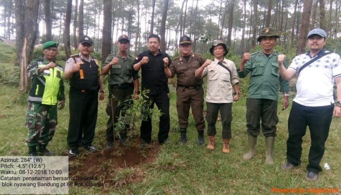 Jaga Hutan Lindung, Perhutani KPH BDU Gelar RHL Gabungan