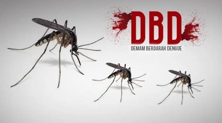 Cegah DBD, Dinkes Kabupaten Tasik Imbau Lakukan 3M