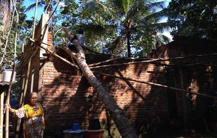 Hujan Disertai Angin Kencang, Puluhan Rumah di Tamansari Tertimpa Pohon