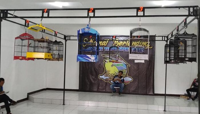 Kontes Kenari; Ajang Silaturahmi dan Pencarian Potensi