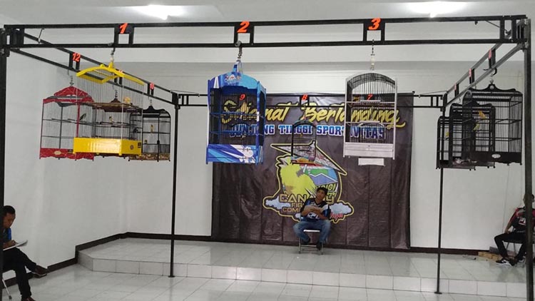 Hajat Kenari Mania Tasikmalaya yang Stabilkan Harga