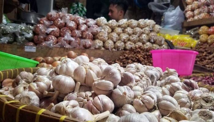 Harga Bawang Putih Berangsur Turun