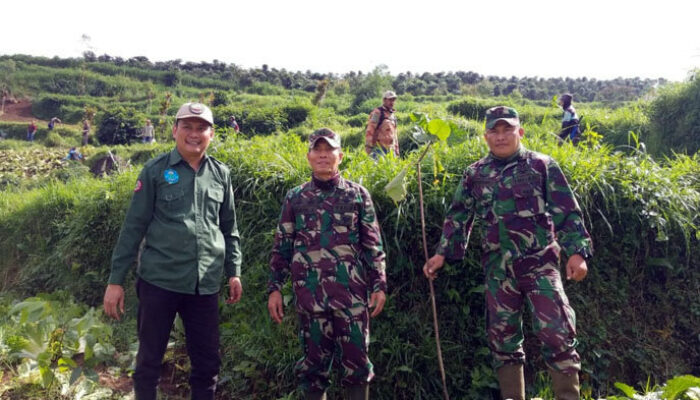 Peringati Hari Buruh, Dansektor Pembibitan Gandeng PTPN VIII Tanam Seribu Pohon