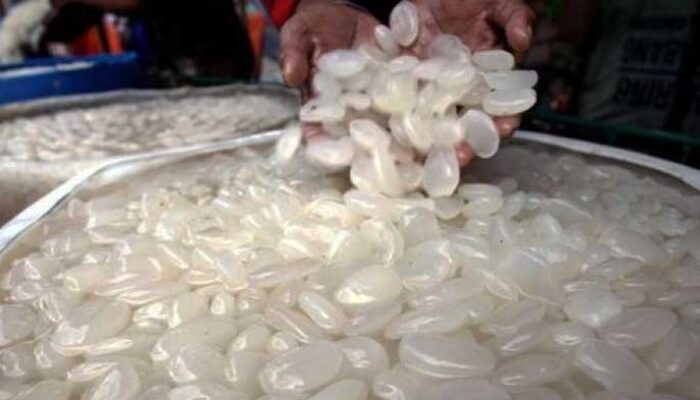 Jadi Buruan di Bulan Puasa, Produksi dan Harga Kolang-Kaling Meningkat