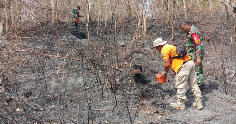 Karena Puntung Rokok, Kebun Bambu Empat Hektare Ludes