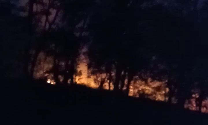 Lagi, Kebun Karet di Padawaras Dilalap Si Jago Merah