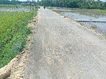 Baru Satu Bulan Selesai Dikerjakan, Pembangunan Rabat Beton di Desa Bojong Sudah Rusak